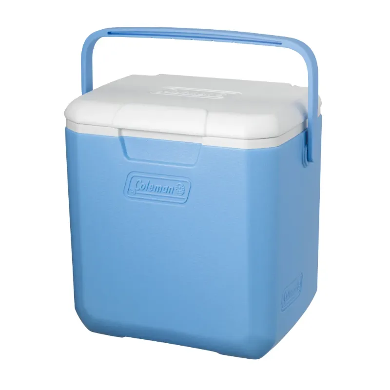 コールマン テイク9（デイドリーム）を正面から見た写真