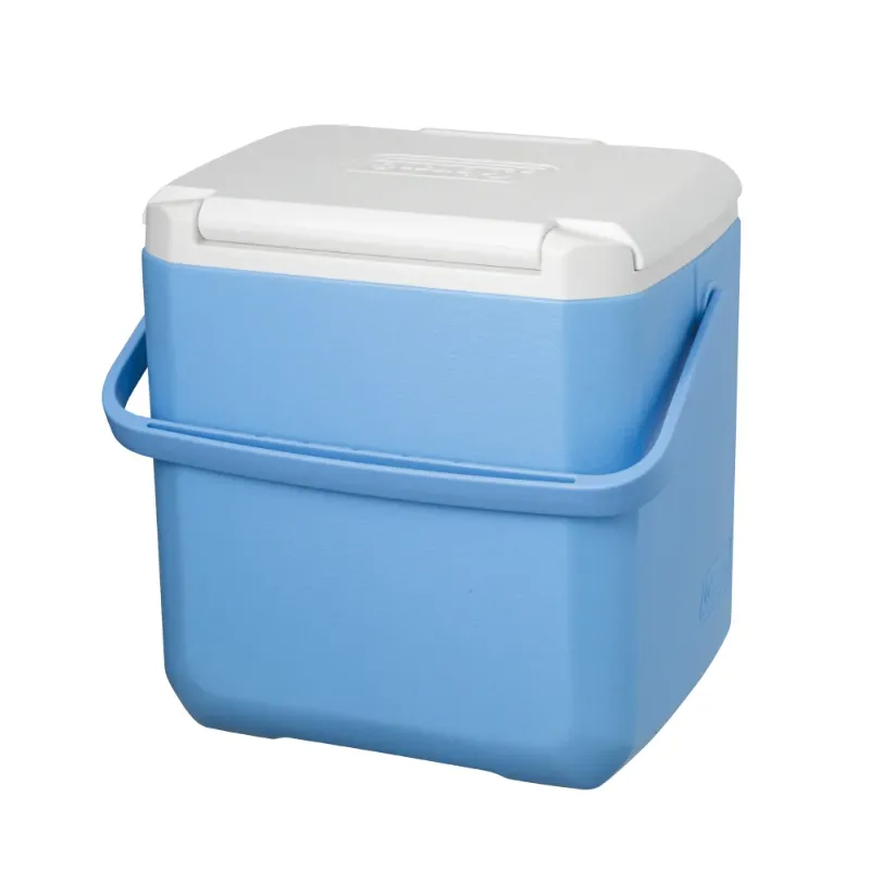 コールマン テイク9（デイドリーム）を背面から見た写真