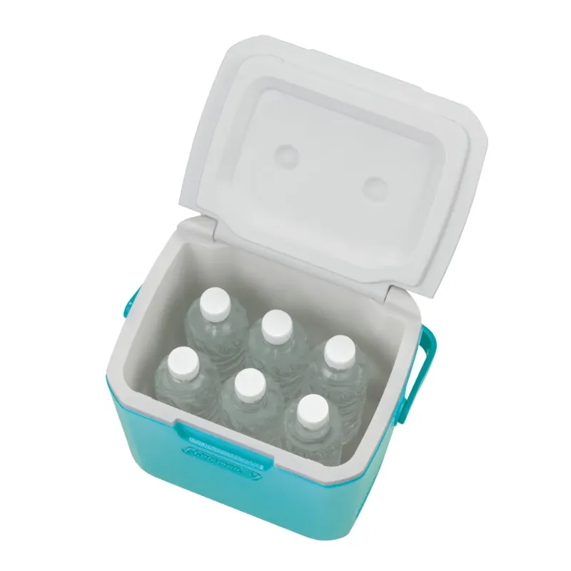 コールマン テイク9（ミント）に500mlペットボトル6本を縦に収納した状態