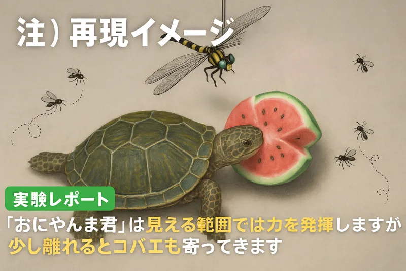 リクガメの餌やり実験を再現したイラスト。真上に吊るした虫除けグッズ「おにやんま君」により、見える範囲ではコバエが寄り付かないが、少し離れると寄ってくる様子を説明している。